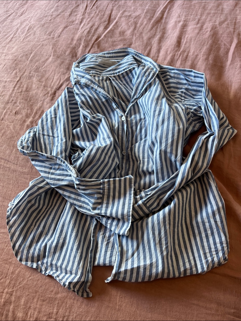 Everlane Blue and White Striped Button-Down Shirt - Picture 7 of 8